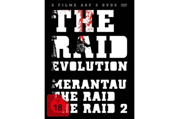 Bild: THE RAID EVOLUTION