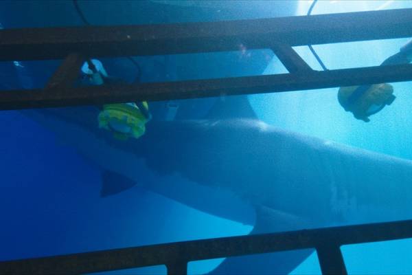 Bild: 47 Meters Down