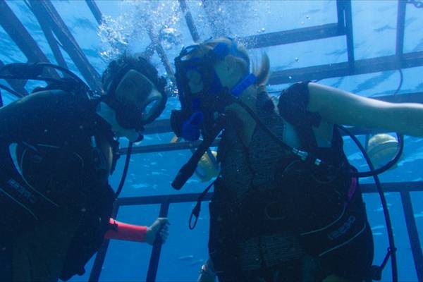 Bild: 47 Meters Down