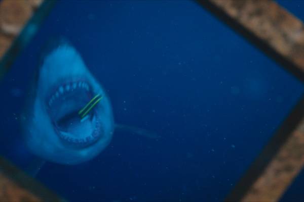 Bild: 47 Meters Down