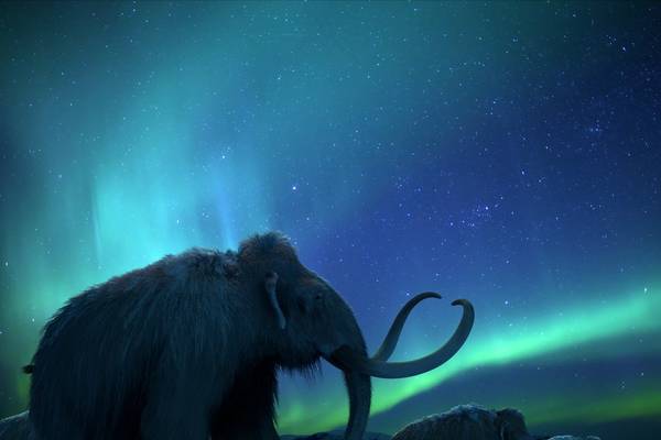 Bild: 4K Extreme Nature Collection