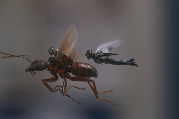 Bild: Ant-Man And The Wasp