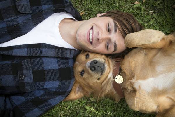 Bild: Bailey – Ein Freund fürs Leben