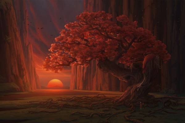 Bild: Big Fish & Begonia