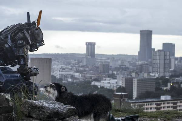 Bild: CHAPPIE