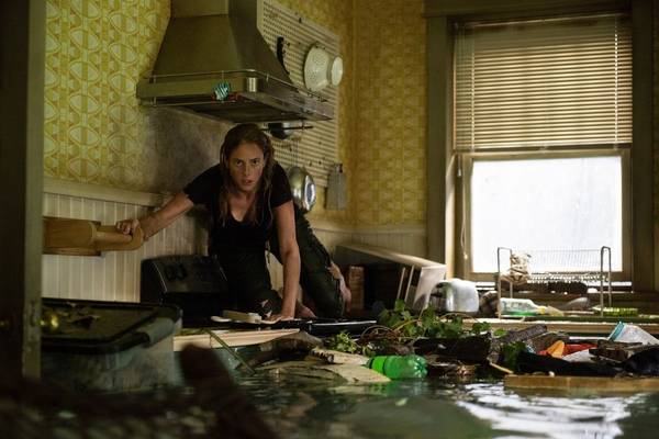 Bild: Crawl im Kino