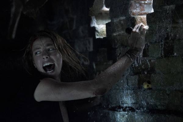 Bild: Crawl im Kino