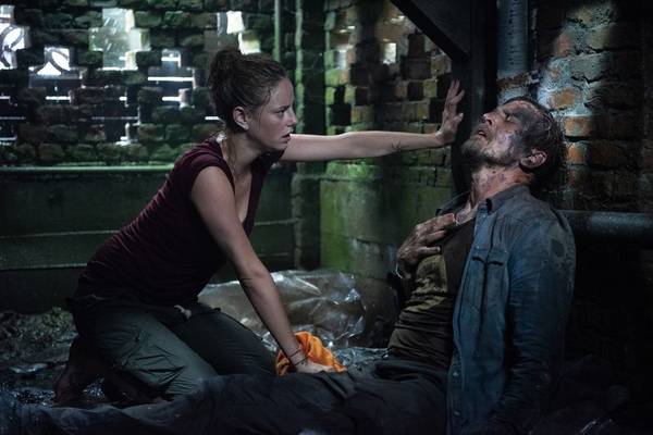 Bild: Crawl im Kino