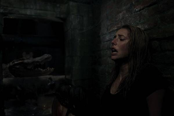 Bild: Crawl im Kino