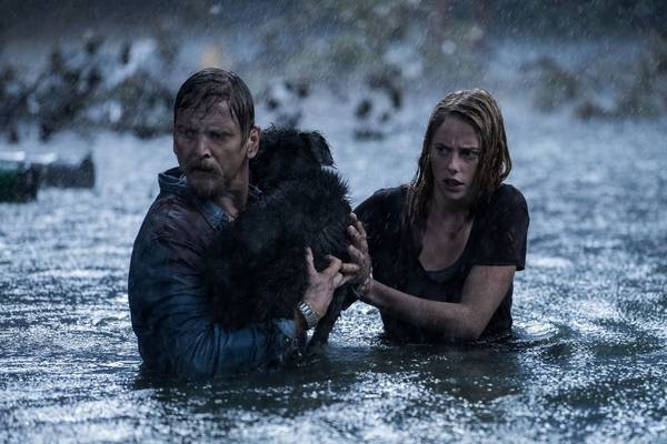 Bild: Crawl im Kino
