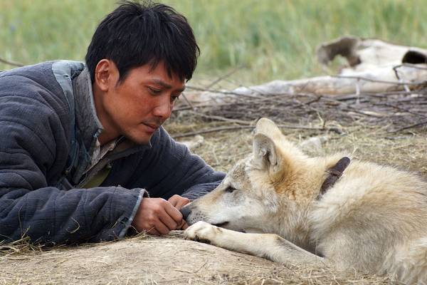 Bild: DER LETZTE WOLF