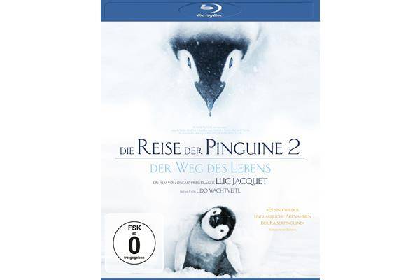 Bild: Die Reise der Pinguine 2 – Der Weg des Lebens