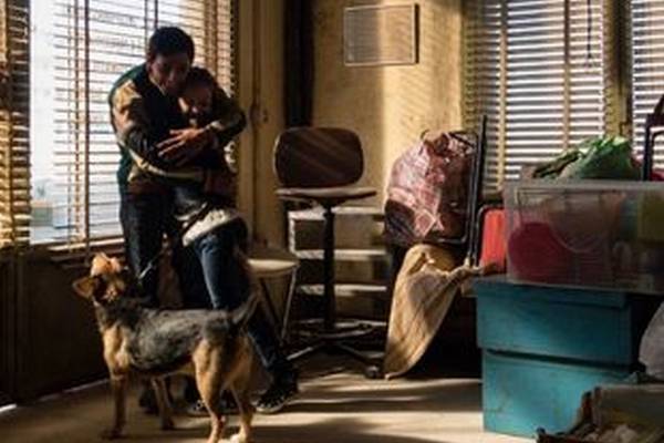 Bild: Dogman