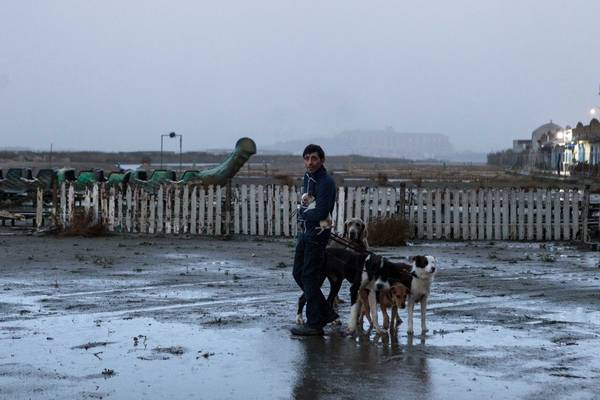 Bild: Dogman