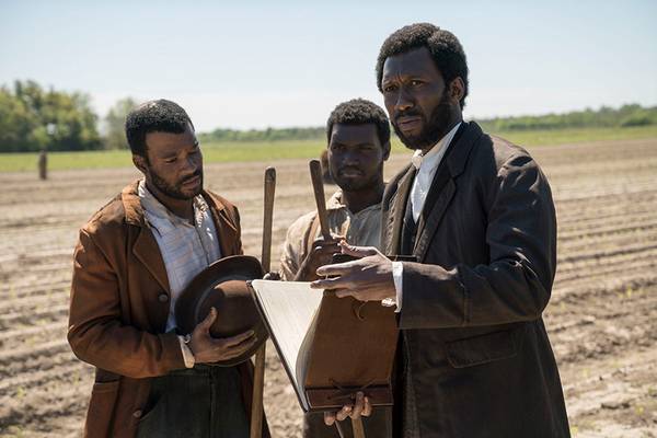 Bild: Free State Of Jones