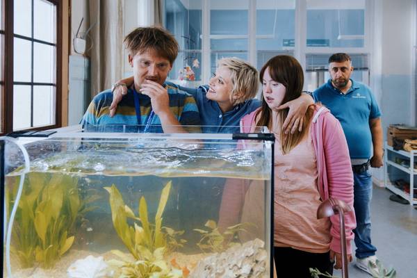 Bild: Goldfische