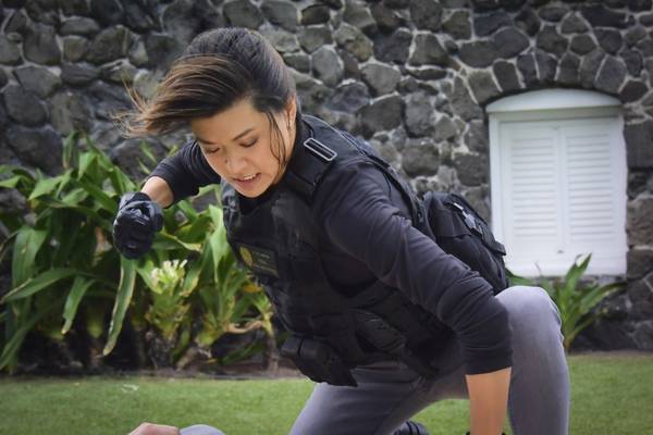 Bild: Hawaii Five-0 – Staffel 7
