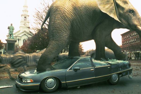 Bild: Jumanji – Special Edition
