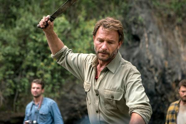 Bild: Jungle
