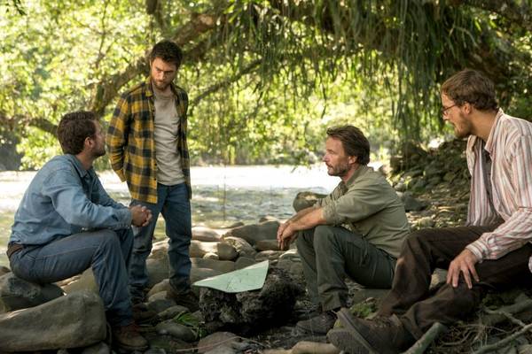 Bild: Jungle