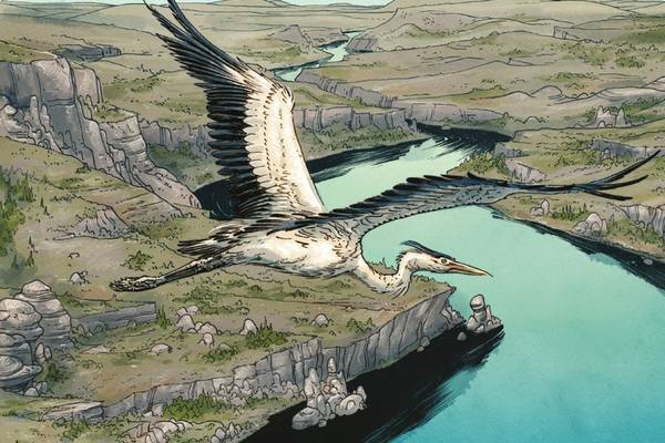 Bild: MANIFEST DESTINY – Band 1