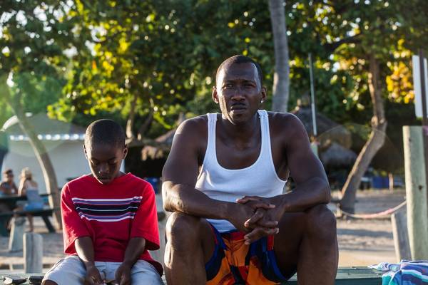 Bild: Moonlight