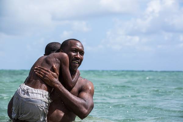 Bild: Moonlight