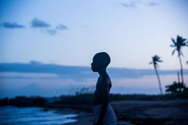 Bild: Moonlight