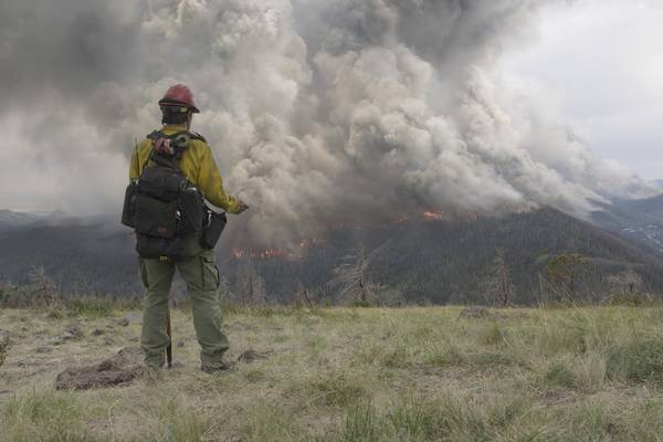 Bild: No Way Out – Gegen die Flammen