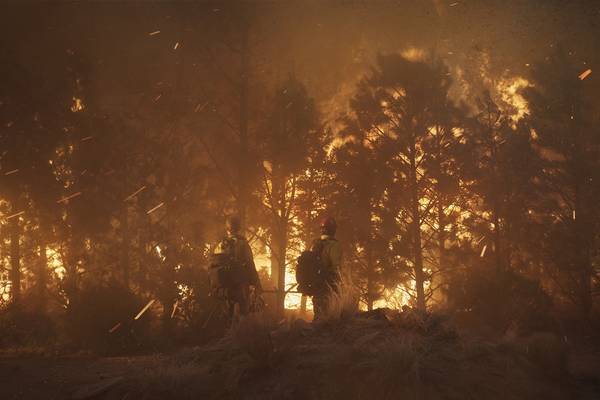 Bild: No Way Out – Gegen die Flammen