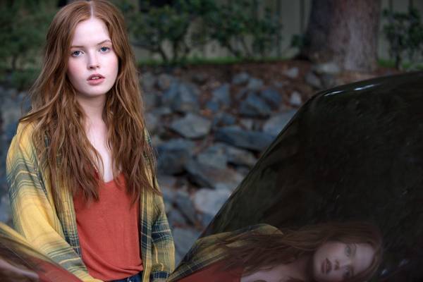 Bild: Nocturnal Animals