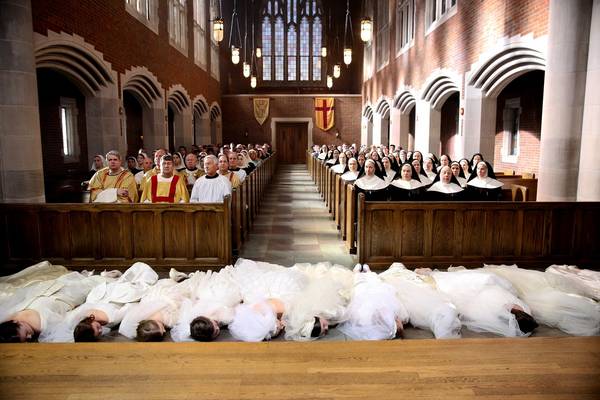 Bild: Novitiate