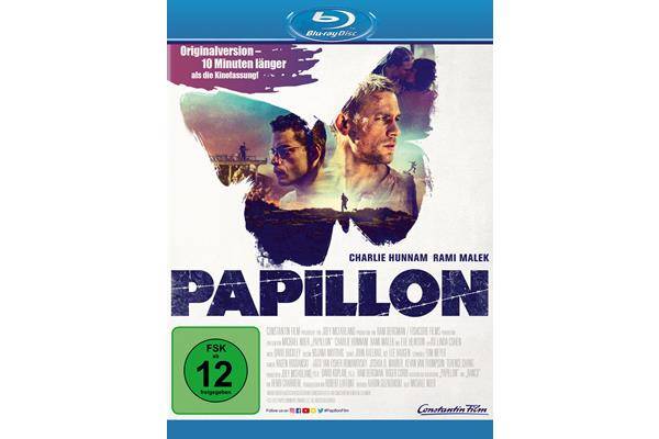 Bild: Papillon