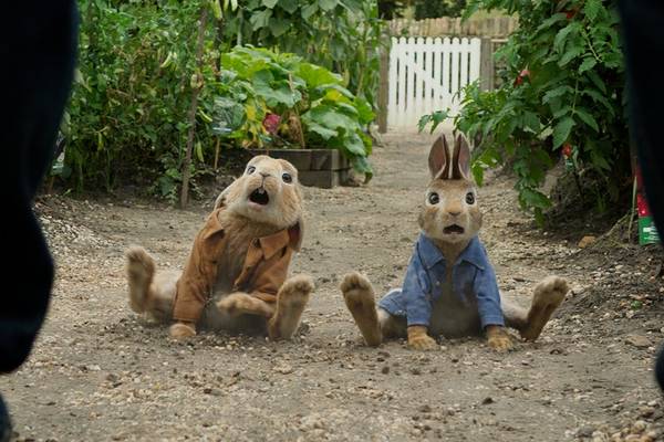 Bild: Peter Hase