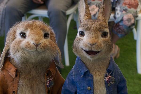 Bild: Peter Hase 2