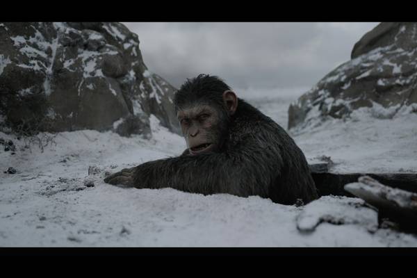 Bild: Planet der Affen: Survival