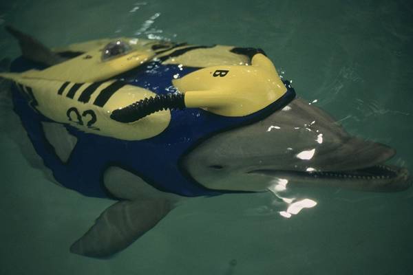 Bild: SeaQuest DSV – Staffel 1