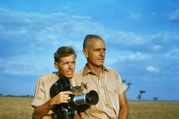 Bild: Serengeti darf nicht sterben | Kein Platz für wilde Tiere