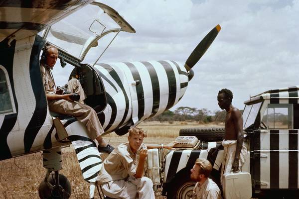 Bild: Serengeti darf nicht sterben | Kein Platz für wilde Tiere