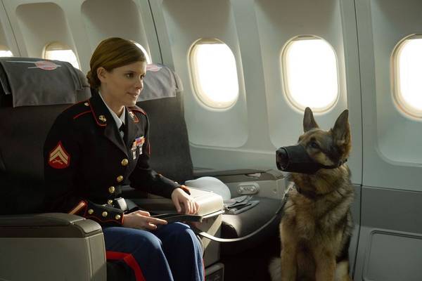 Bild: Sergeant Rex – Nicht ohne meinen Hund