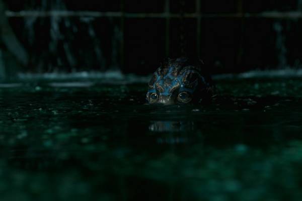 Bild: Shape Of Water – Das Flüstern des Wassers