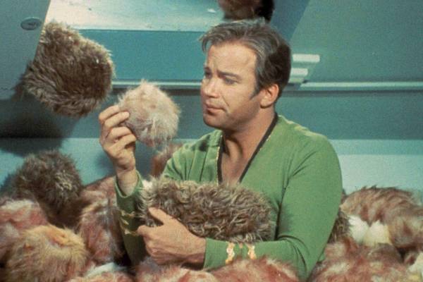 Bild: Star Trek: The Original Series - The Roddenberry Vault