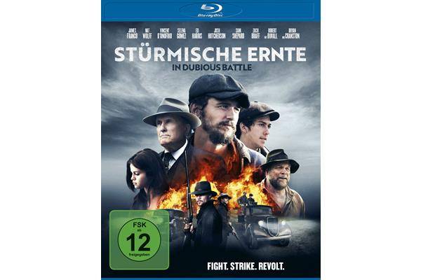 Bild: Stürmische Ernte