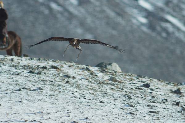 Bild: The Eagle Huntress