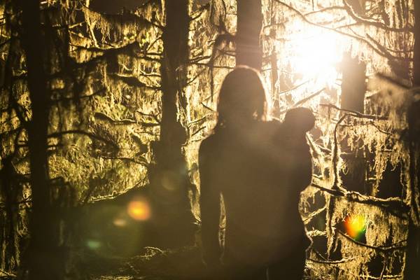 Bild: THE HALLOW