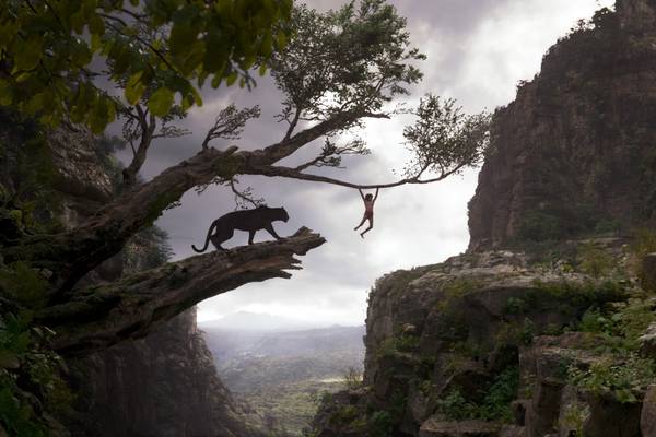 Bild: The Jungle Book