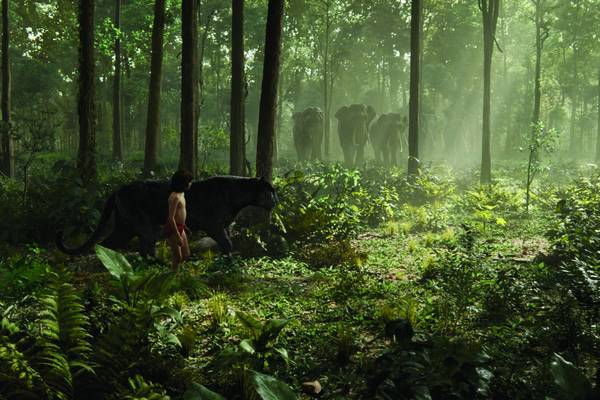 Bild: The Jungle Book
