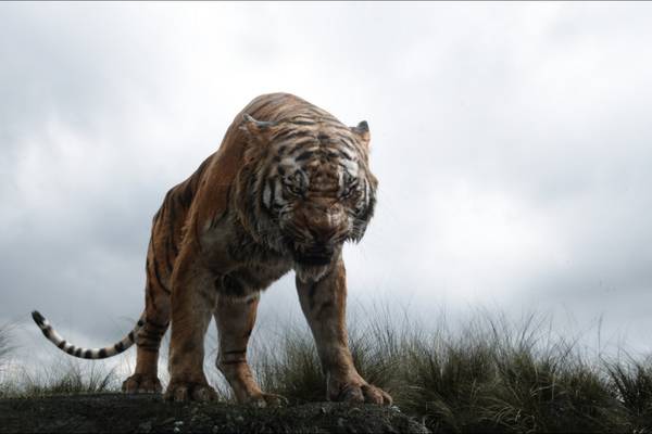 Bild: The Jungle Book