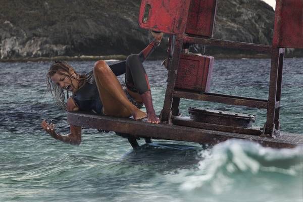 Bild: The Shallows – Gefahr aus der Tiefe