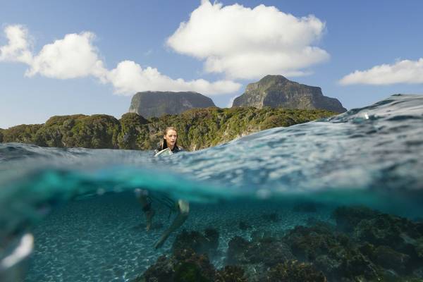 Bild: The Shallows – Gefahr aus der Tiefe
